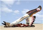 IND28844 Buffalo Spirit Athame Native Dagger